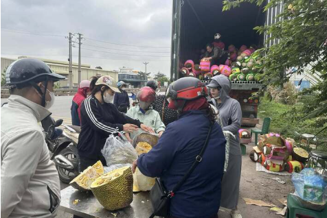 Mít không xuất khẩu được quay đầu bán lẻ, giá rẻ chưa từng có